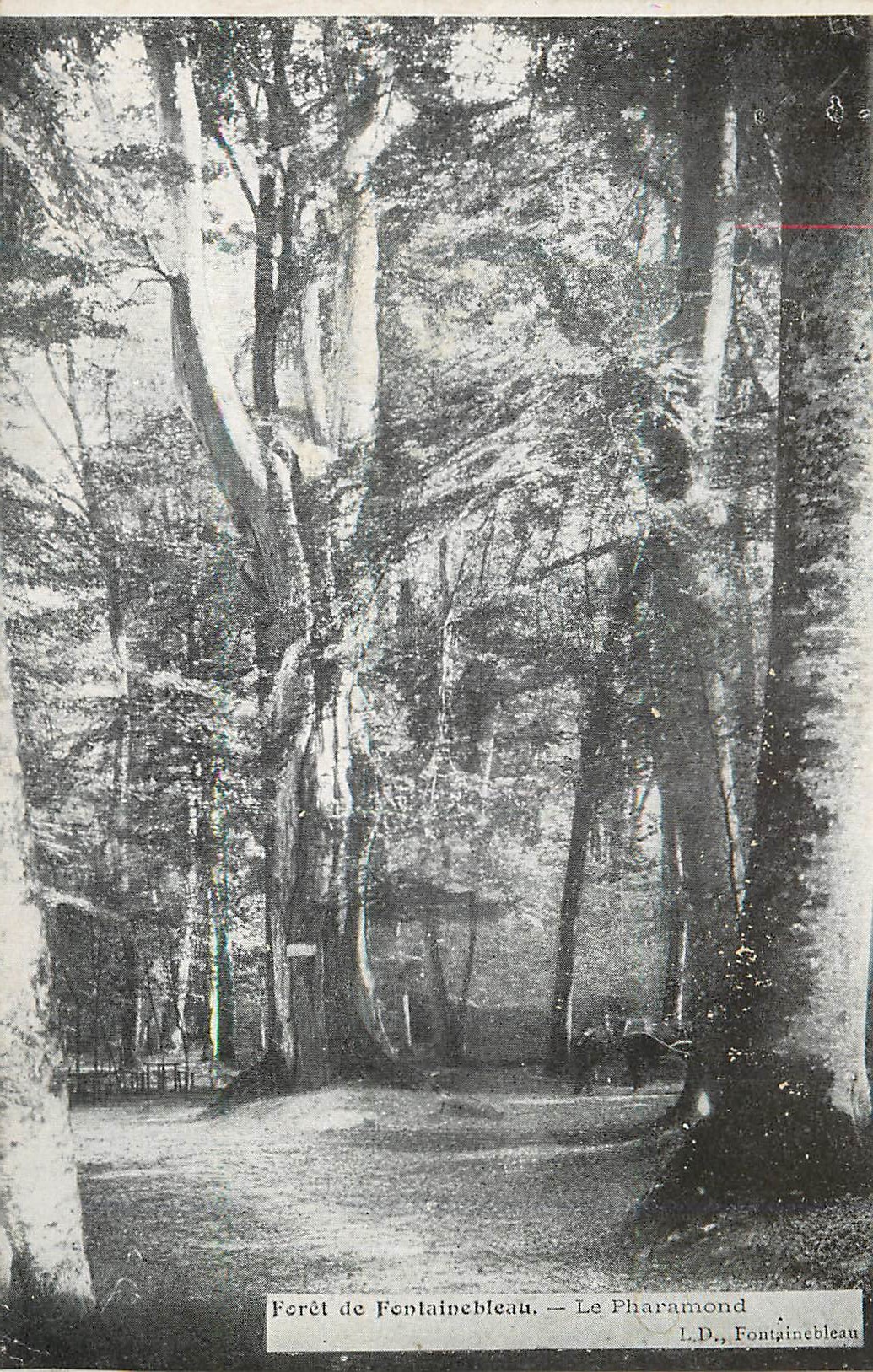 Forêt de Fontainebleau — Le Pharamond — L.D., Fontainebleau